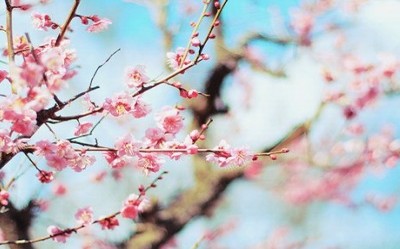 寫到女生心裡經典說說