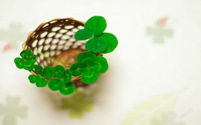 给朋友的元旦祝福给朋友的元旦祝福语