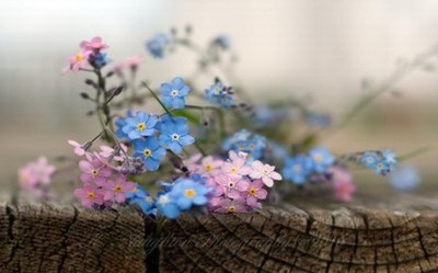 重阳节快乐九九祝福语说说