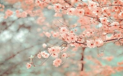 最美中秋节祝福语中秋明圆月天涯共此时