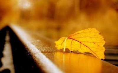 端午节给老师的祝福说说 感恩珍藏版