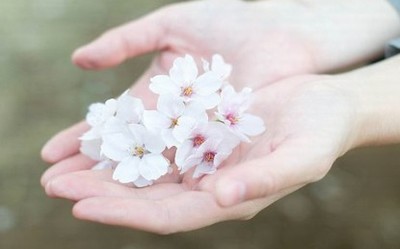 花时间去解释不如花时间去证明
