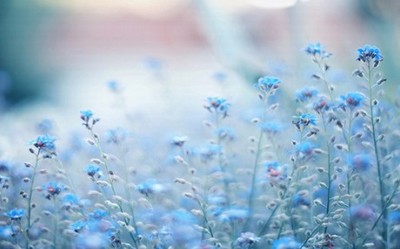 八月十五中秋节祝福说说祝愿中秋佳节快乐更加