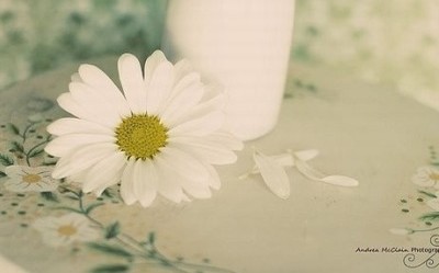 你是疯子有点傻；疯疯癫癫到天涯