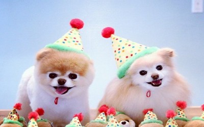 精辟却又很现实句子 毒鸡汤的经典说说 都说一白