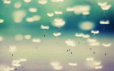 我“你現在在哪”她“我在一朵雲下面”
