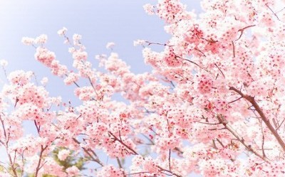 重阳节说说合集