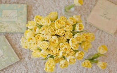 数学春节祝福语