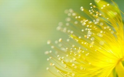 祝老公生日祝福語大全祝老公的生日祝福語